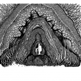 inside whale's womb